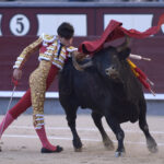 Madrid - Corrida de toros - Domingo 17 de junio de 2018