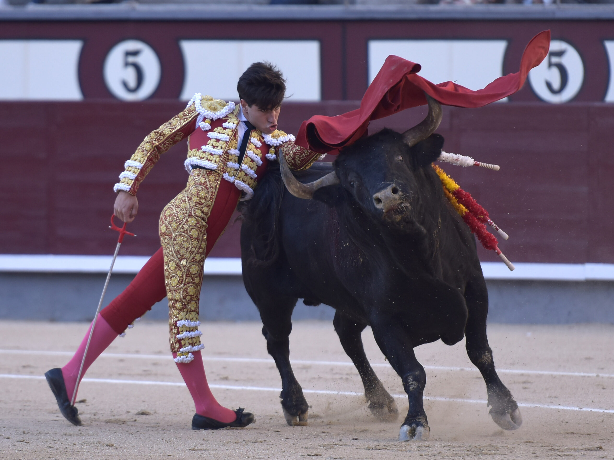 Madrid - Corrida de toros - Domingo 17 de junio de 2018