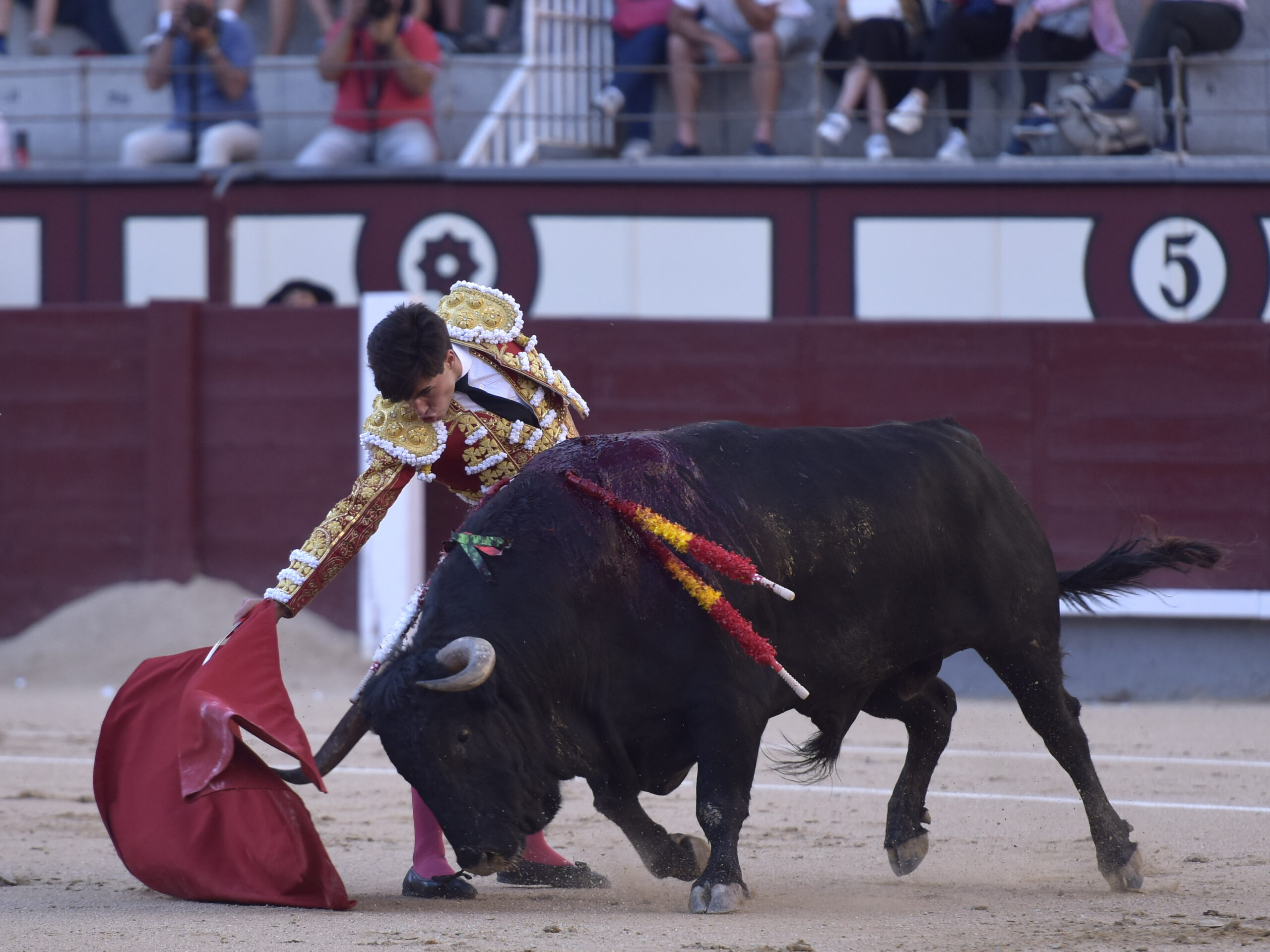 Madrid - Corrida de toros - Domingo 17 de junio de 2018