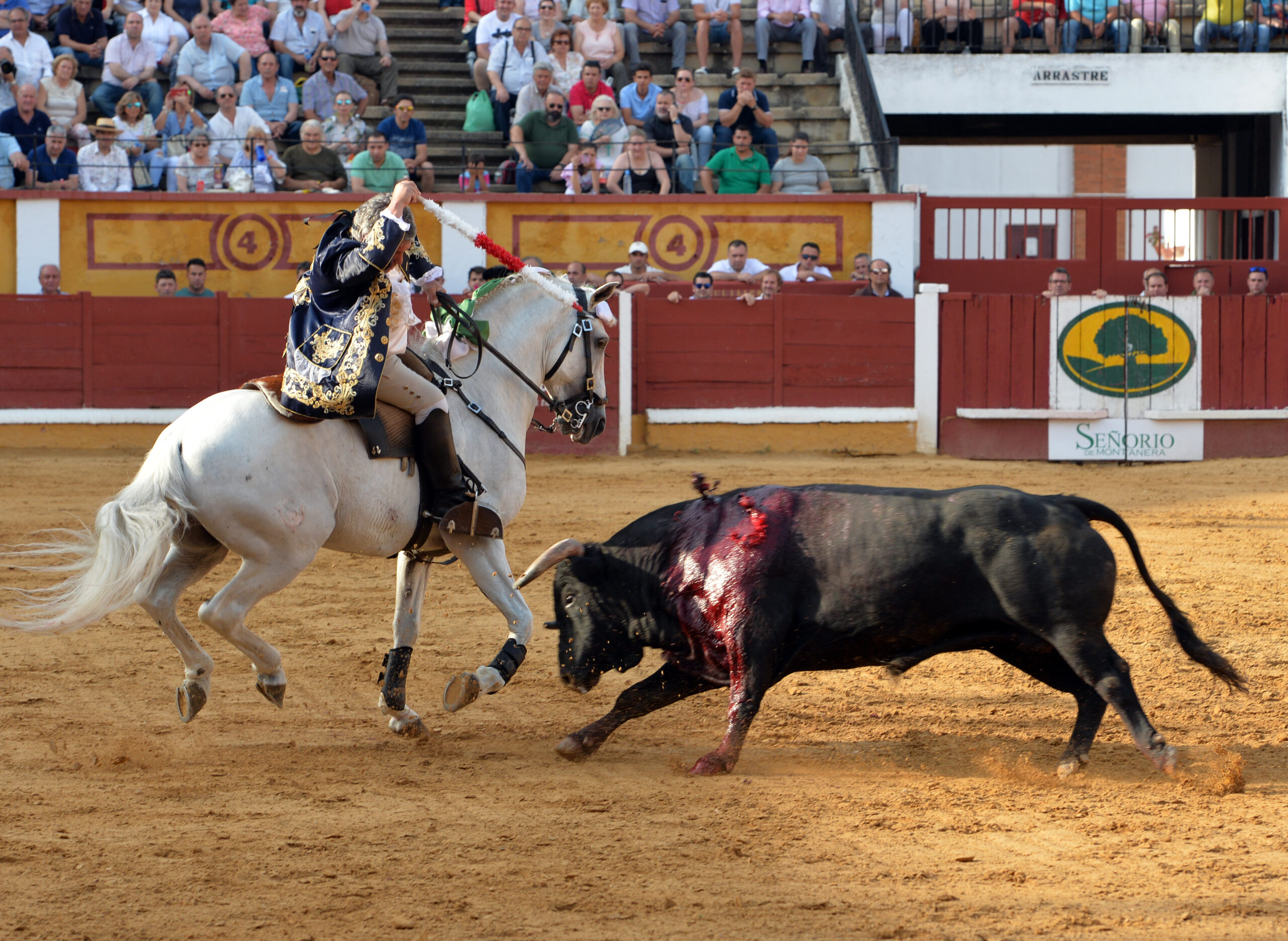 Badajoz, 24 de junio de 2018