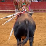 Évora (Portugal) - Corrida de rejones - Viernes 29 de junio de 2018