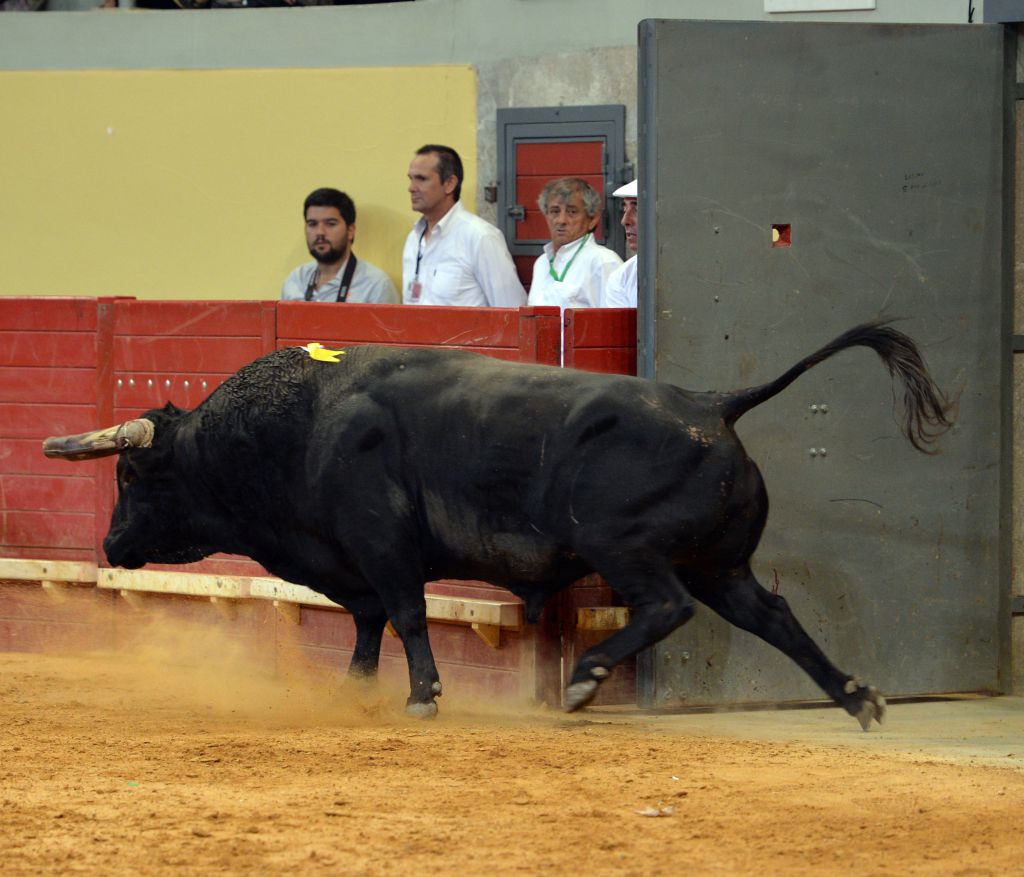 Évora (Portugal) - Corrida de rejones - Viernes 29 de junio de 2018