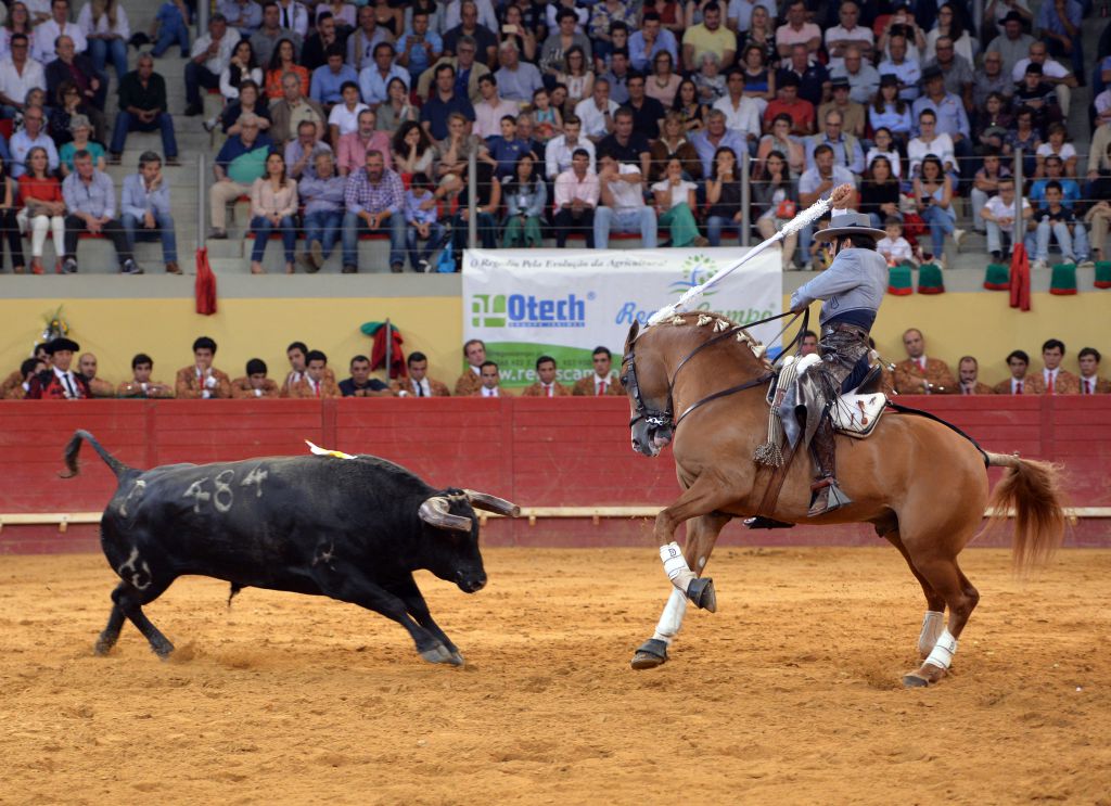 Évora (Portugal) - Corrida de rejones - Viernes 29 de junio de 2018