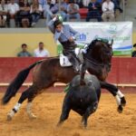 Évora (Portugal) - Corrida de rejones - Viernes 29 de junio de 2018