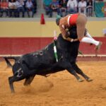 Évora (Portugal) - Corrida de rejones - Viernes 29 de junio de 2018