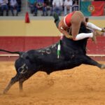 Évora (Portugal) - Corrida de rejones - Viernes 29 de junio de 2018