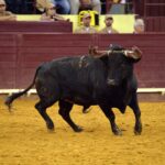 Lisboa. 7 de junio de 2018