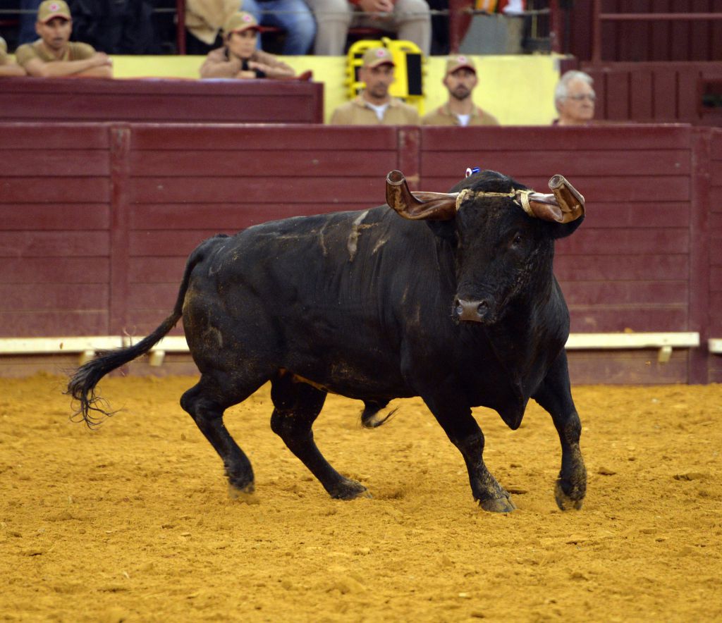 Lisboa. 7 de junio de 2018