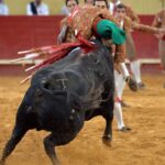 Évora (Portugal) - Corrida de rejones - Viernes 29 de junio de 2018