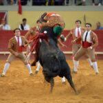 Évora (Portugal) - Corrida de rejones - Viernes 29 de junio de 2018