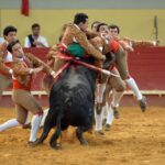 Évora (Portugal) - Corrida de rejones - Viernes 29 de junio de 2018