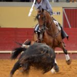 Évora (Portugal) - Corrida de rejones - Viernes 29 de junio de 2018