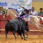 Évora (Portugal) - Corrida de rejones - Viernes 29 de junio de 2018