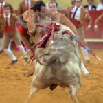 Évora (Portugal) - Corrida de rejones - Viernes 29 de junio de 2018