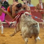 Évora (Portugal) - Corrida de rejones - Viernes 29 de junio de 2018