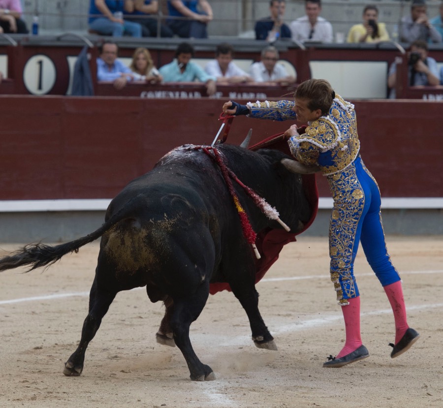 Madrid, 24 de junio de 2018