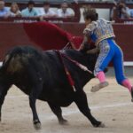 Madrid, 24 de junio de 2018