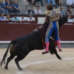 Madrid, 24 de junio de 2018