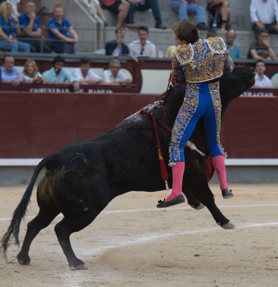 Madrid, 24 de junio de 2018