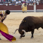 Madrid - Feria de San Isidro - Corrida de toros - Viernes 1 de junio de 2018
