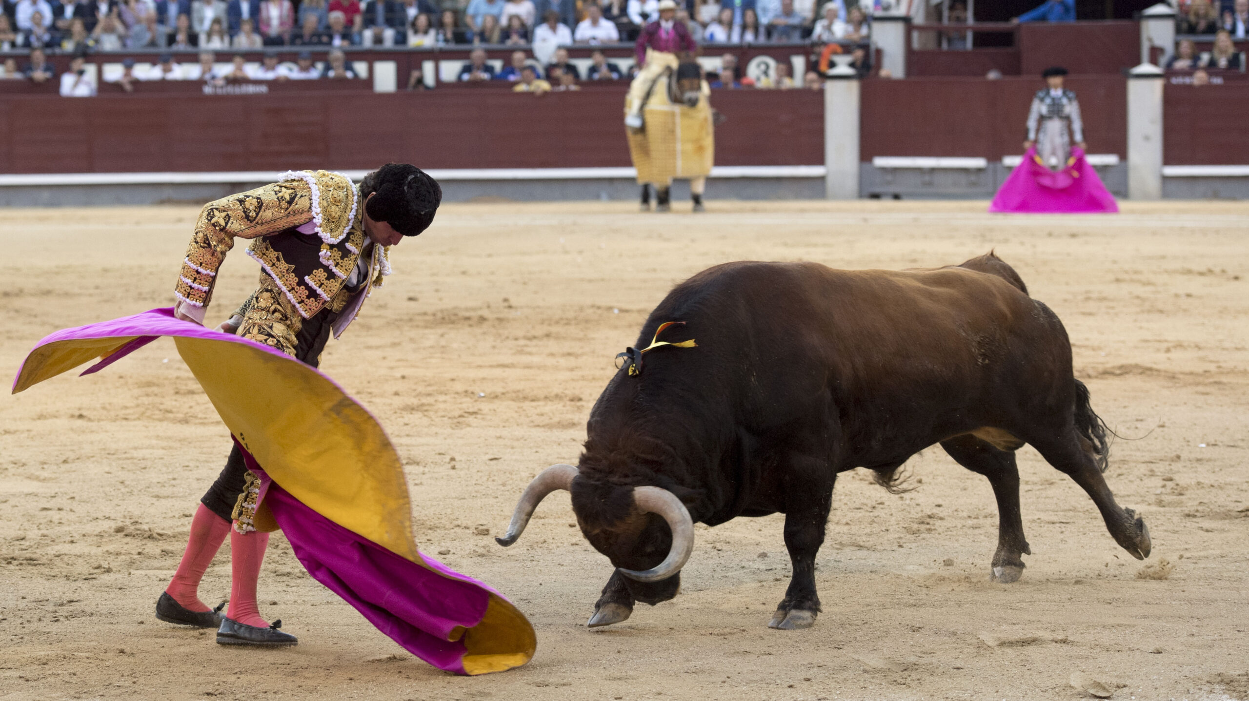 Madrid - Feria de San Isidro - Corrida de toros - Viernes 1 de junio de 2018
