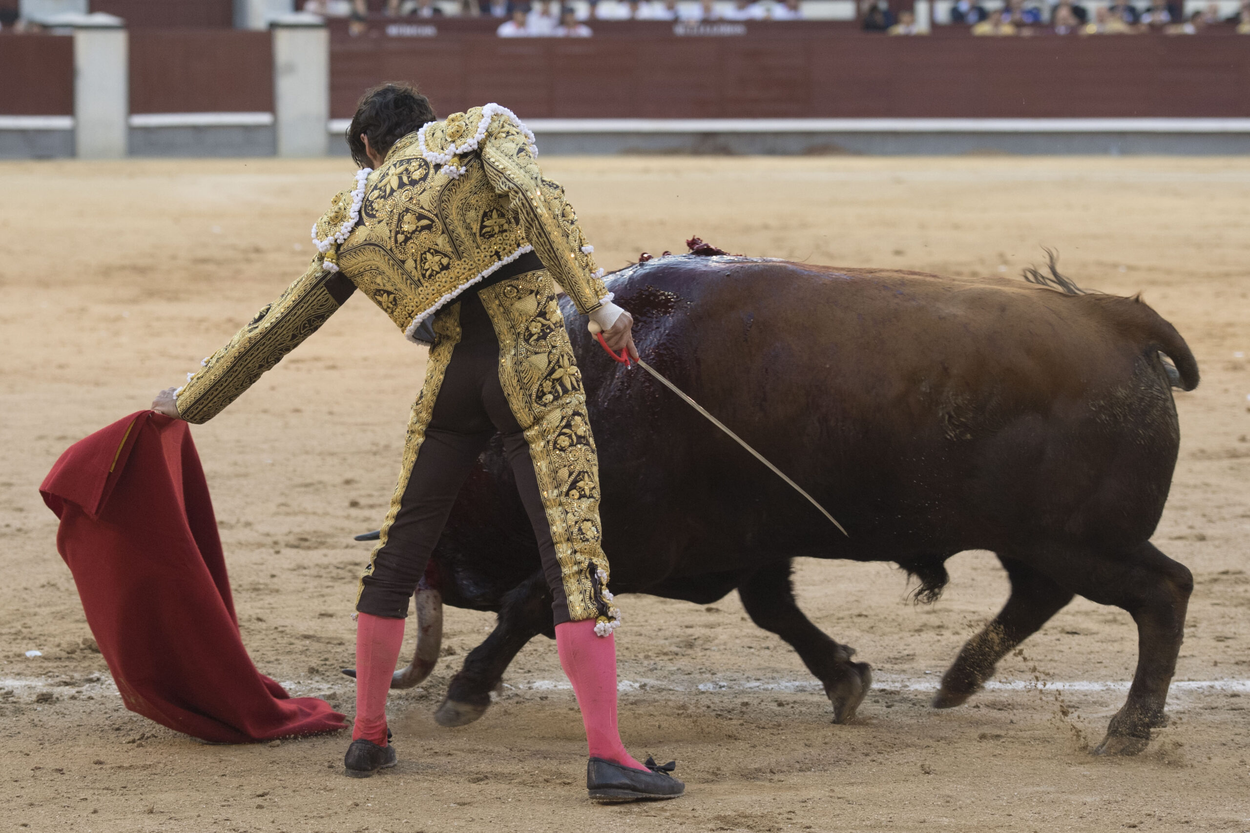 Madrid - Feria de San Isidro - Corrida de toros - Viernes 1 de junio de 2018