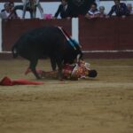 león, 24 de junio de 2018