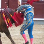Voltereta Rafaelillo. Madrid, 3 de junio de 2018