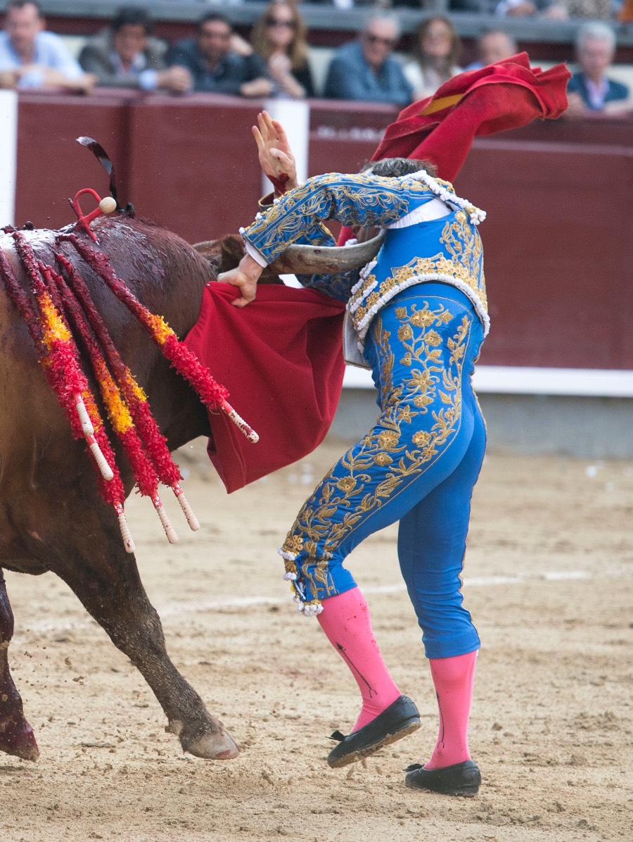 Voltereta Rafaelillo. Madrid, 3 de junio de 2018