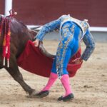Voltereta Rafaelillo. Madrid, 3 de junio de 2018