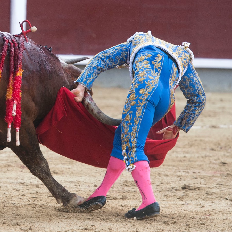Voltereta Rafaelillo. Madrid, 3 de junio de 2018