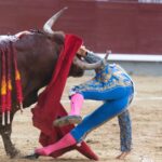 Voltereta Rafaelillo. Madrid, 3 de junio de 2018