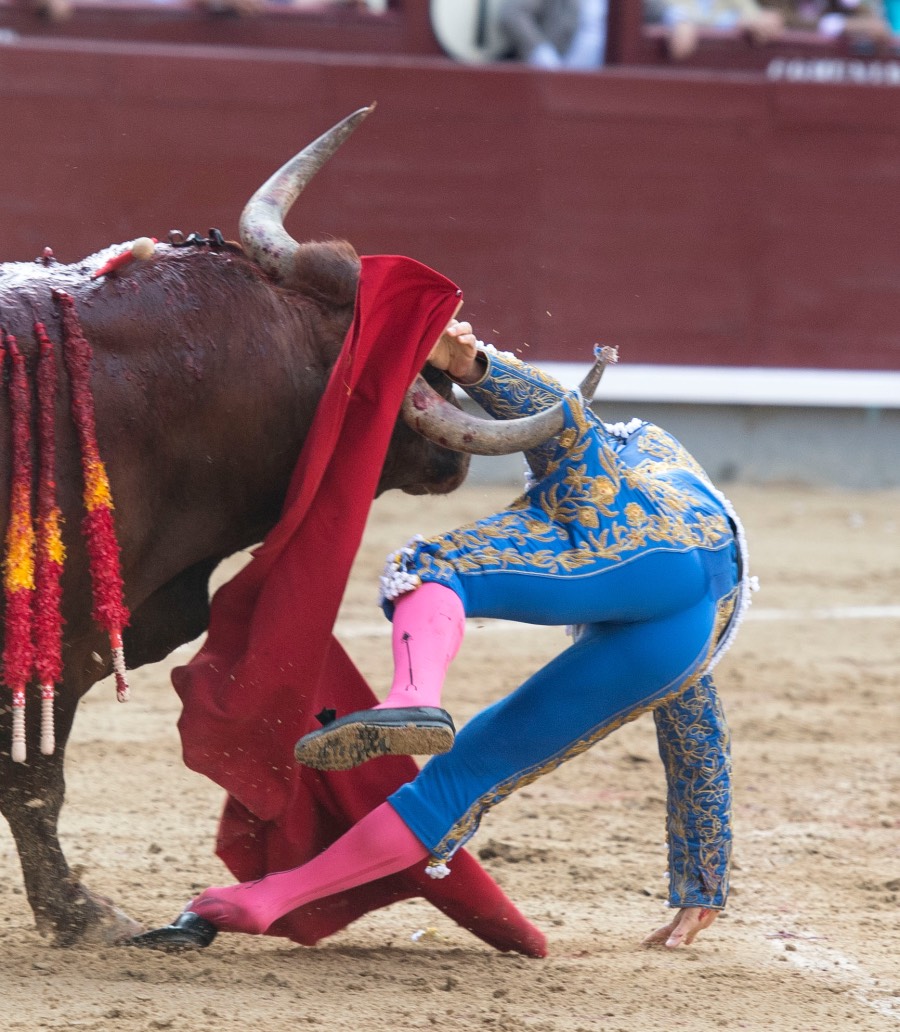 Voltereta Rafaelillo. Madrid, 3 de junio de 2018