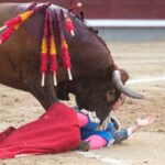 Voltereta Rafaelillo. Madrid, 3 de junio de 2018