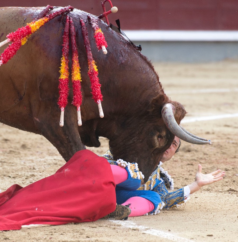 Voltereta Rafaelillo. Madrid, 3 de junio de 2018