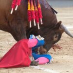 Voltereta Rafaelillo. Madrid, 3 de junio de 2018