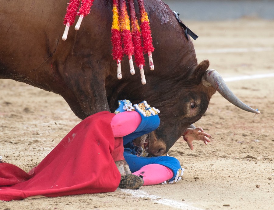 Voltereta Rafaelillo. Madrid, 3 de junio de 2018