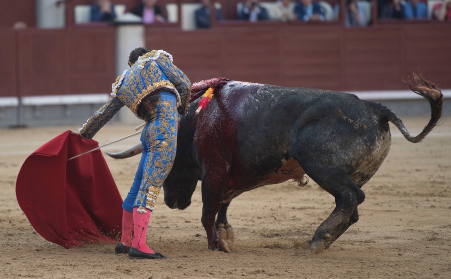 Madris, 3 de junio de 2018