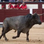 Madris, 3 de junio de 2018