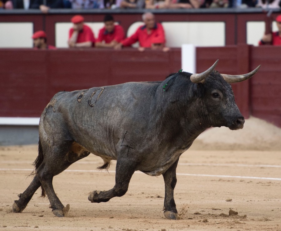 Madris, 3 de junio de 2018