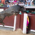 Madris, 3 de junio de 2018