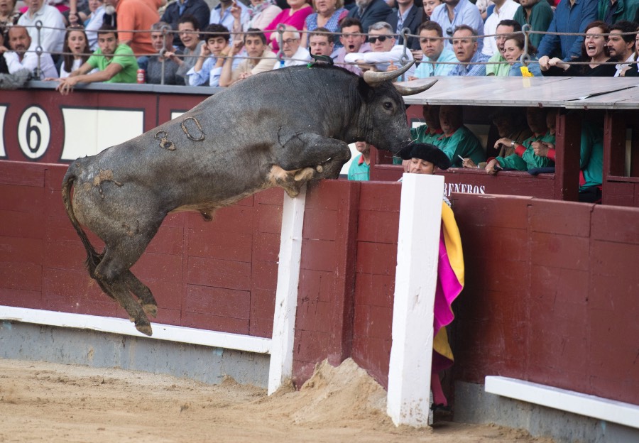 Madris, 3 de junio de 2018