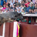 Madris, 3 de junio de 2018