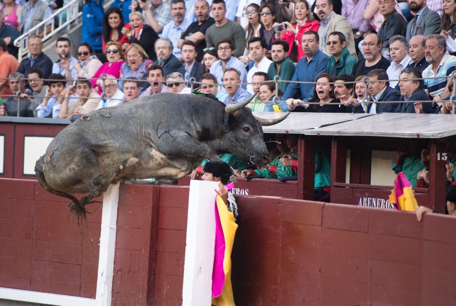 Madris, 3 de junio de 2018