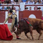 Zamora - Corrida de toros - Viernes 29 de junio de 2018