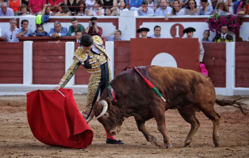 Zamora - Corrida de toros - Viernes 29 de junio de 2018