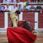 Zamora - Corrida de toros - Viernes 29 de junio de 2018