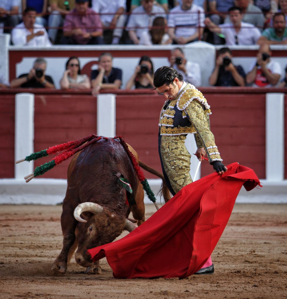 Zamora - Corrida de toros - Viernes 29 de junio de 2018