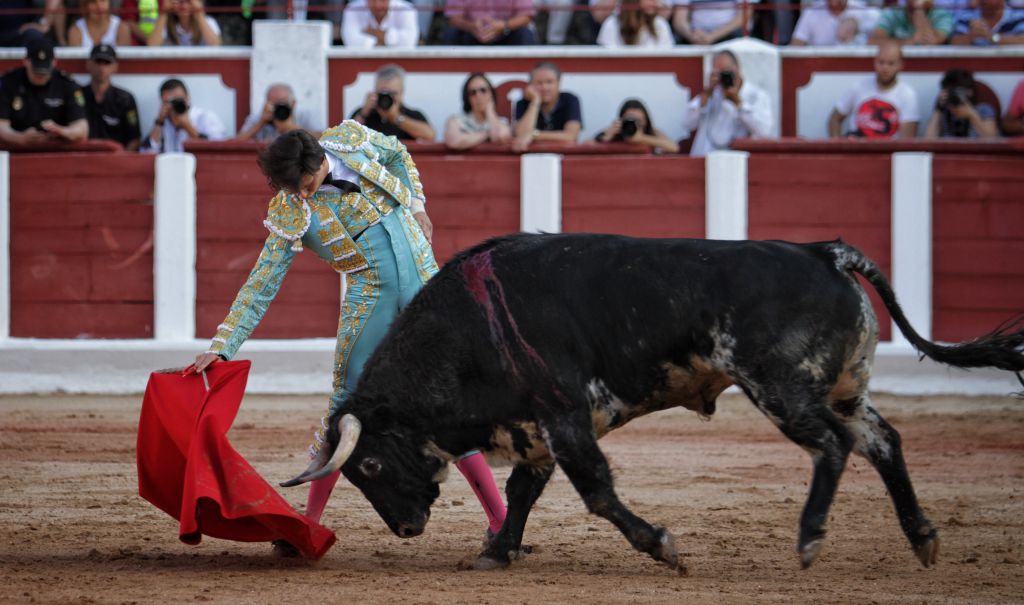 Zamora - Corrida de toros - Viernes 29 de junio de 2018