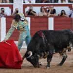 Zamora - Corrida de toros - Viernes 29 de junio de 2018